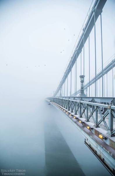 morning picdump 51 pics 12.html - 51 HD Photos | Premium Gallery 2017