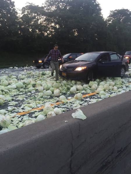 daily picdump 103 pics 38.html - 103 HD Photos | Premium Gallery 2017