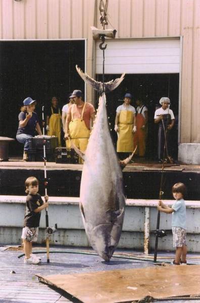 daily picdump 103 pics 38.html - 103 HD Photos | Premium Gallery 2017