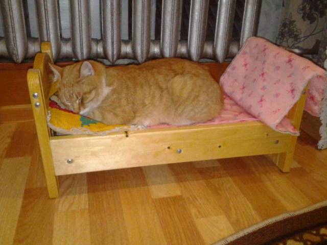 daily picdump 103 pics 38.html - 103 HD Photos | Premium Gallery 2017