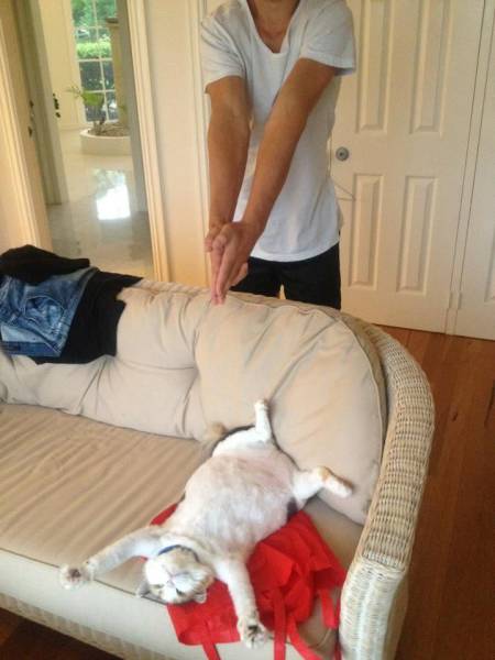 daily picdump 103 pics 38.html - 103 HD Photos | Premium Gallery 2017