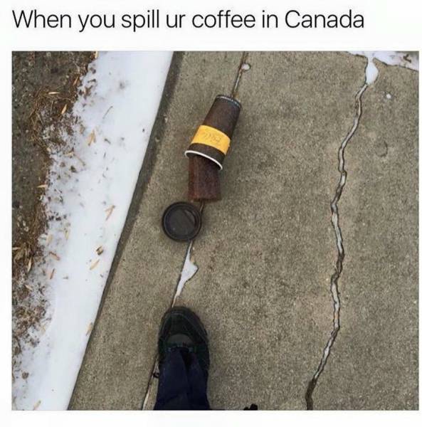 Fresh Memes Are The Fuel Internet’s Working On