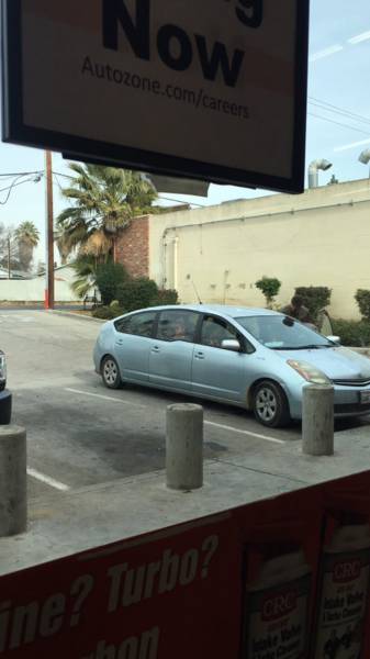 morning picdump 54 pics 25.html - 54 HD Photos | Premium Gallery 2017