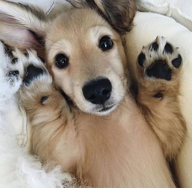 morning picdump 54 pics 25.html - 54 HD Photos | Premium Gallery 2017