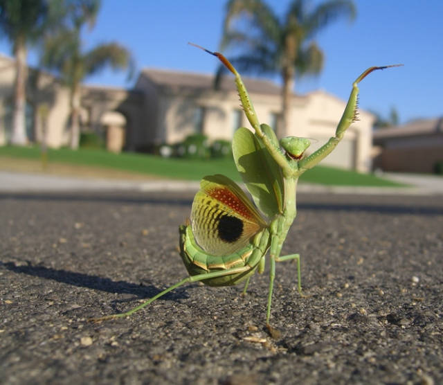 morning picdump 54 pics 25.html - 54 HD Photos | Premium Gallery 2017