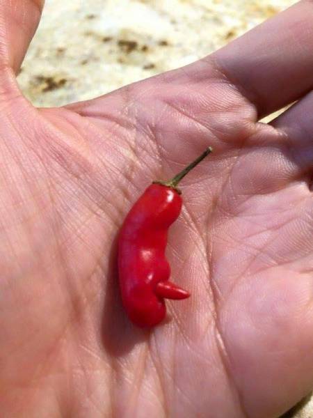 morning picdump 54 pics 25.html - 54 HD Photos | Premium Gallery 2017