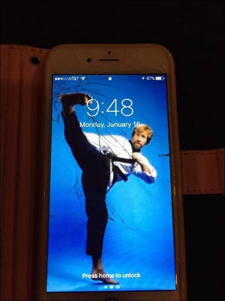 daily picdump 98 pics 3.html - 98 HD Photos | Premium Gallery 2017