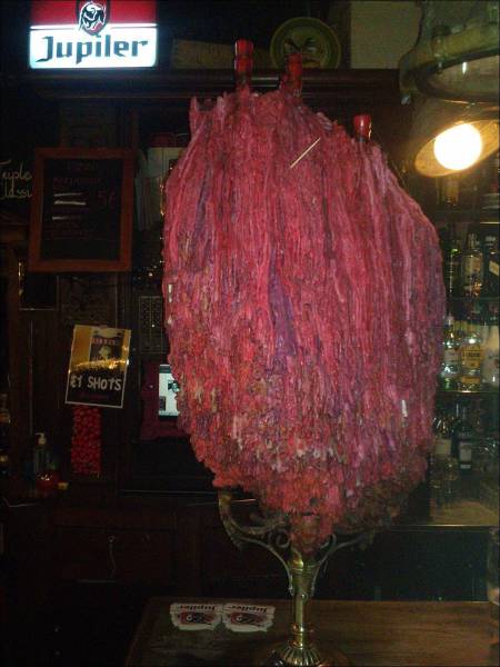 daily picdump 98 pics 3.html - 98 HD Photos | Premium Gallery 2017