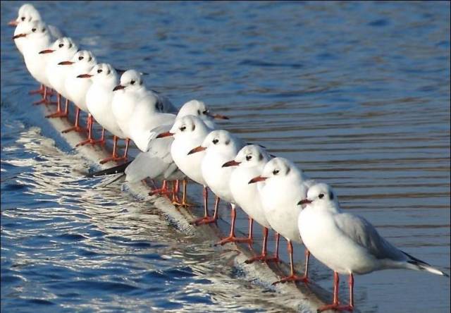 daily picdump 98 pics 3.html - 98 HD Photos | Premium Gallery 2017