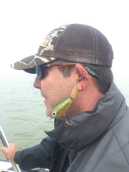 daily picdump 98 pics 3.html - 98 HD Photos | Premium Gallery 2017