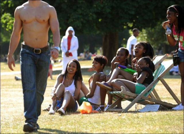 daily picdump 98 pics 3.html - 98 HD Photos | Premium Gallery 2017