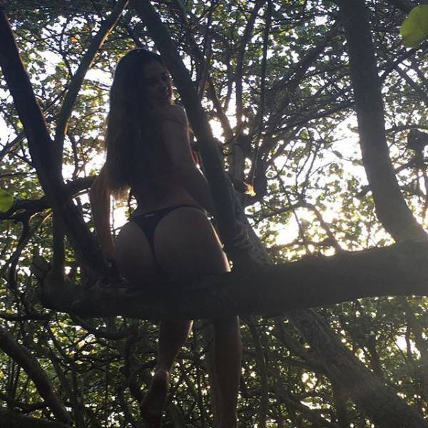 grownup corner 66 pics 13 gifs 31.html - 66 HD GIF | Premium Gallery 2017