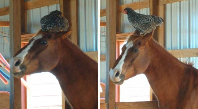 morning picdump 51 pics 12.html - 51 HD Photos | Premium Gallery 2017