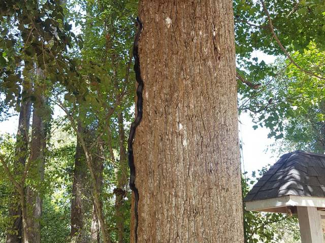 morning picdump 51 pics 12.html - 51 HD Photos | Premium Gallery 2017